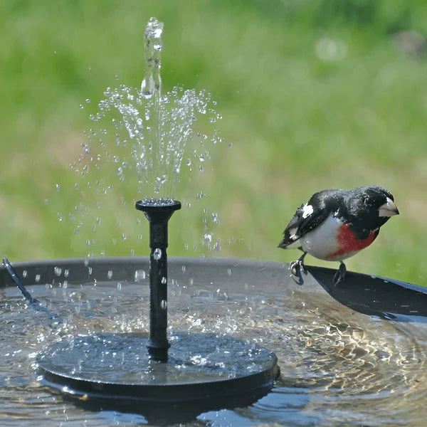 AquaBloom Solar Fountain