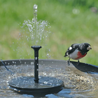 AquaBloom Solar Fountain